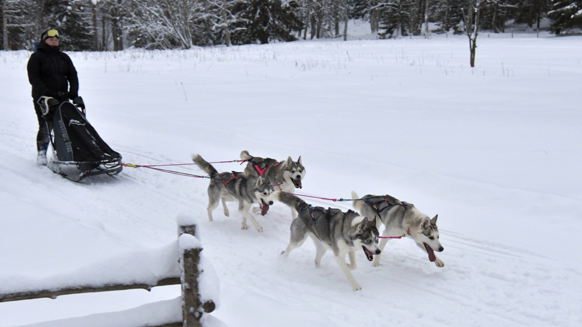 Kuva: Hannu Mustonen