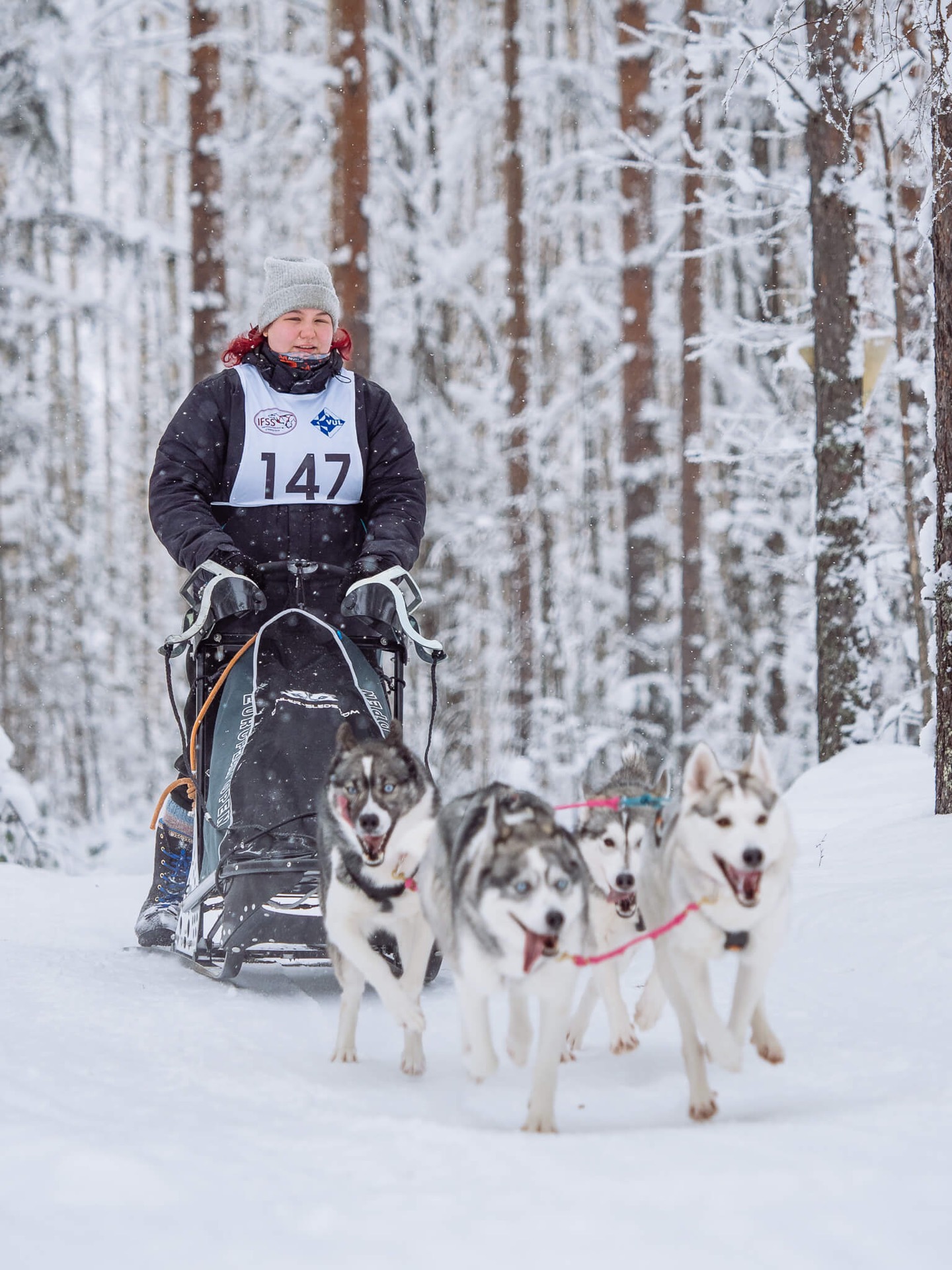 Kuva: Oona Komulainen @onskiloidi